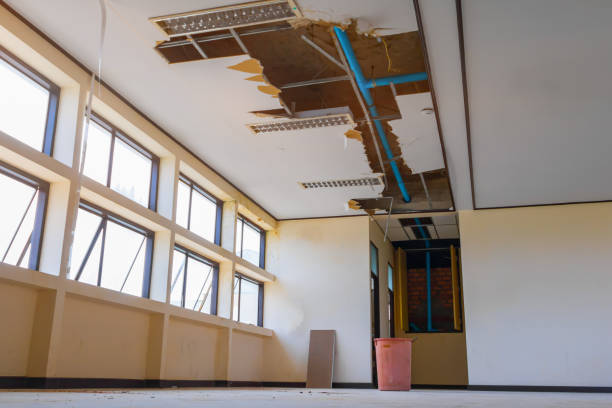 Best Sewage cleanup and water damage restoration  in Bellview, FL