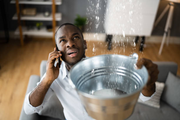 Best Water damage cleanup near me  in Bellview, FL