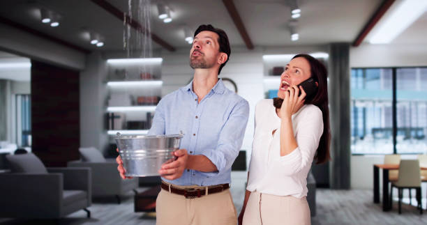 Best Flooded house restoration  in Bellview, FL