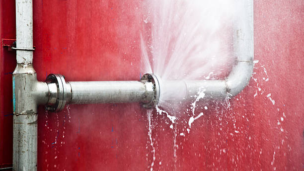 Best Basement water damage restoration  in Bellview, FL